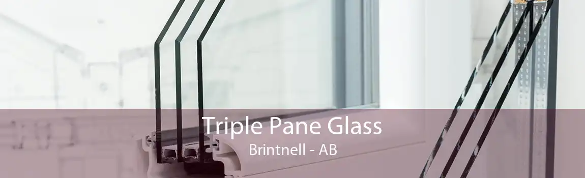 Triple Pane Glass Brintnell - AB