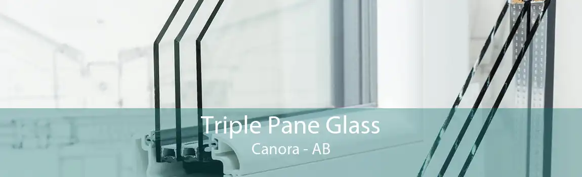 Triple Pane Glass Canora - AB