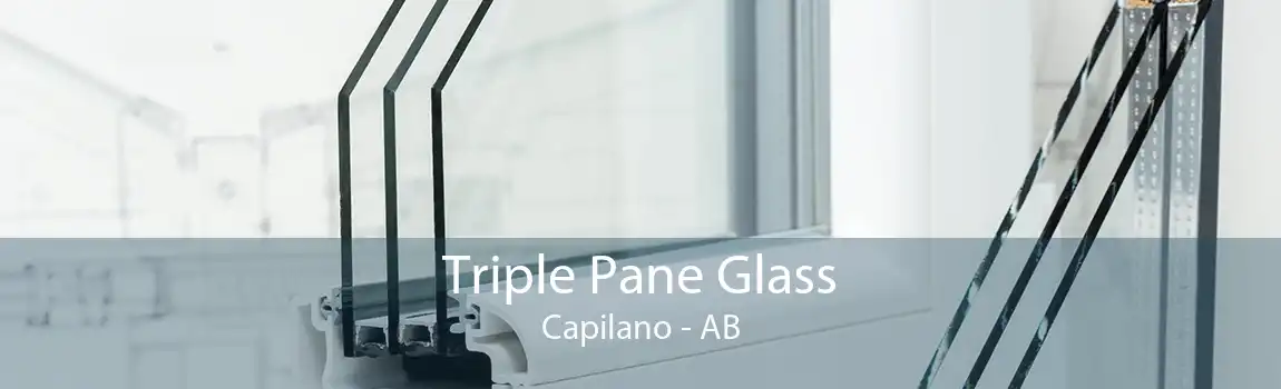 Triple Pane Glass Capilano - AB