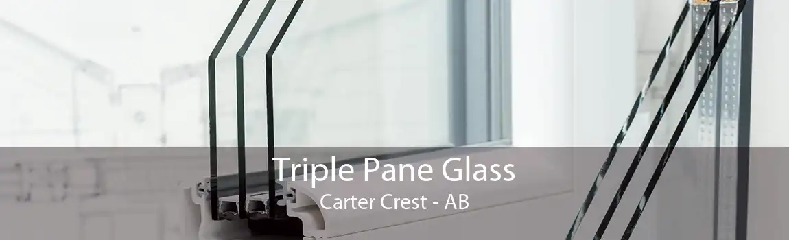 Triple Pane Glass Carter Crest - AB