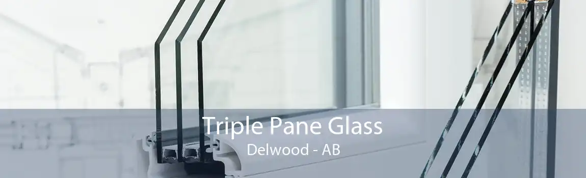 Triple Pane Glass Delwood - AB