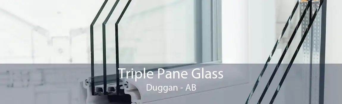 Triple Pane Glass Duggan - AB