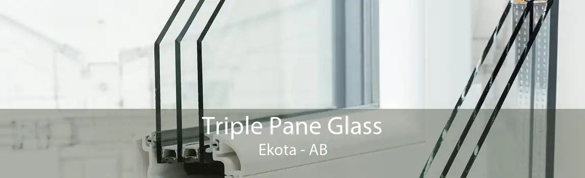 Triple Pane Glass Ekota - AB