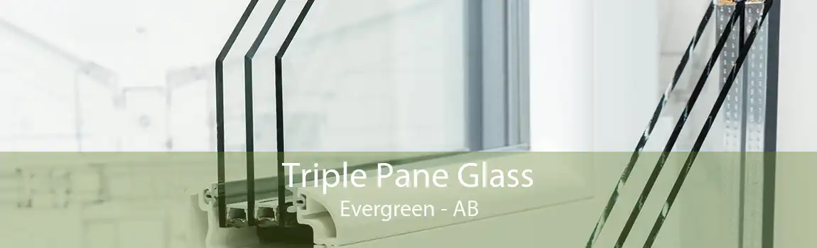 Triple Pane Glass Evergreen - AB