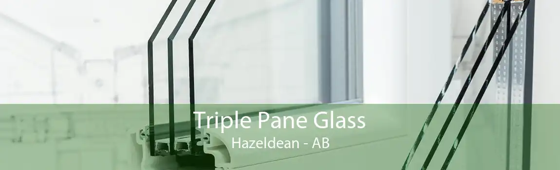 Triple Pane Glass Hazeldean - AB