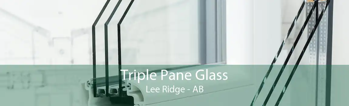 Triple Pane Glass Lee Ridge - AB