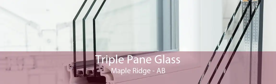 Triple Pane Glass Maple Ridge - AB