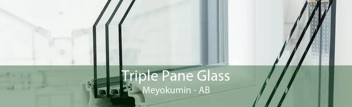 Triple Pane Glass Meyokumin - AB