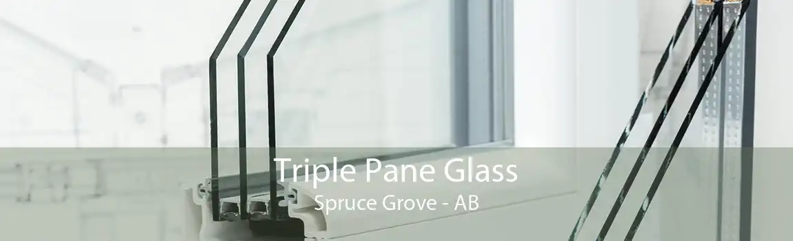 Triple Pane Glass Spruce Grove - AB