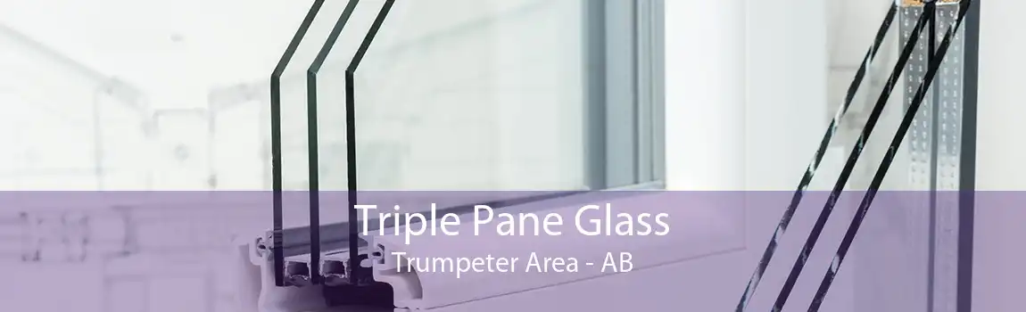 Triple Pane Glass Trumpeter Area - AB