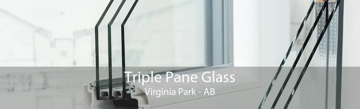 Triple Pane Glass Virginia Park - AB