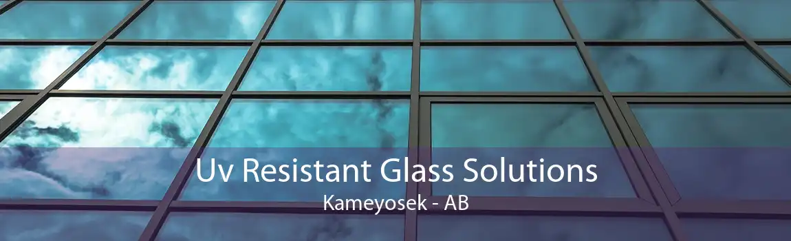 Uv Resistant Glass Solutions Kameyosek - AB