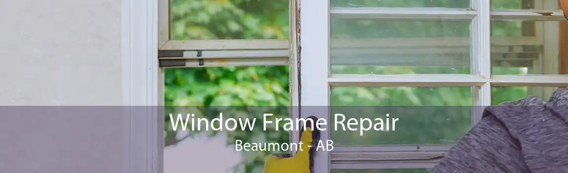 Window Frame Repair Beaumont - AB