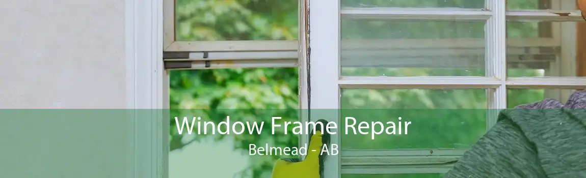 Window Frame Repair Belmead - AB