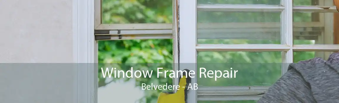 Window Frame Repair Belvedere - AB