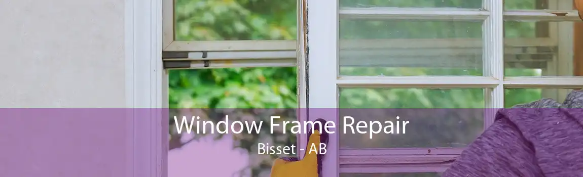 Window Frame Repair Bisset - AB