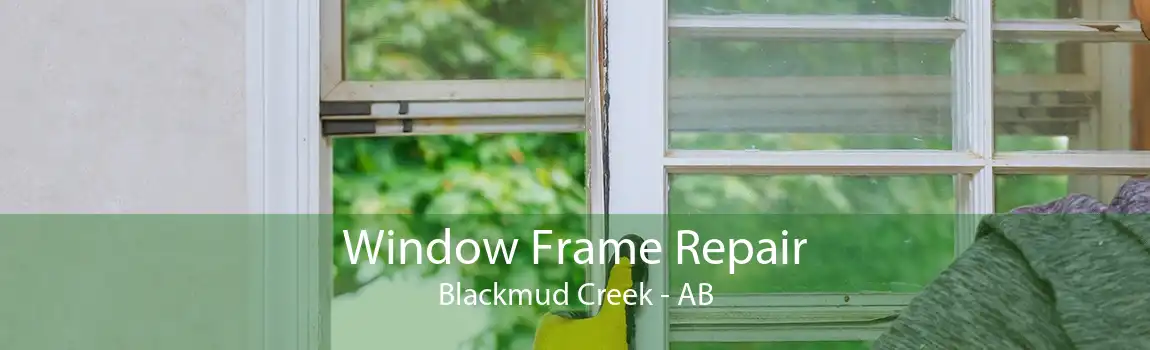 Window Frame Repair Blackmud Creek - AB