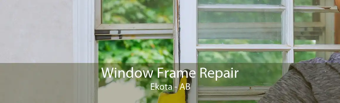 Window Frame Repair Ekota - AB