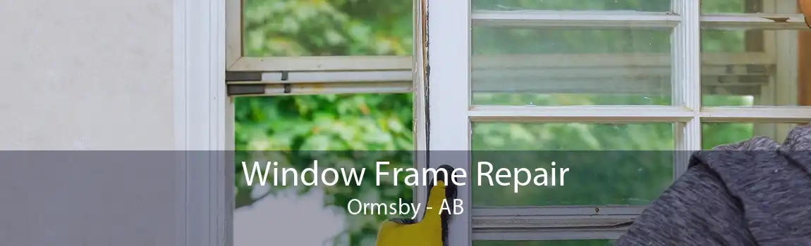 Window Frame Repair Ormsby - AB