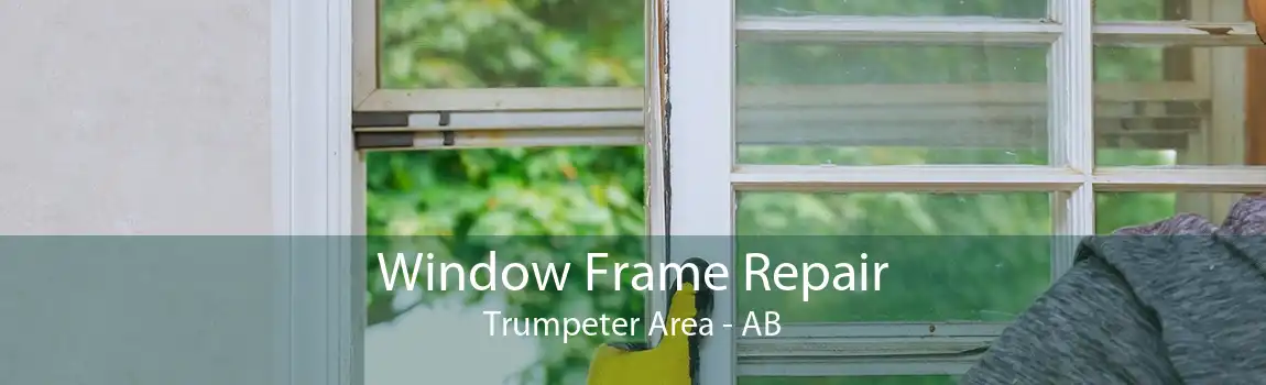 Window Frame Repair Trumpeter Area - AB