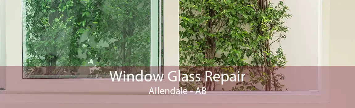 Window Glass Repair Allendale - AB