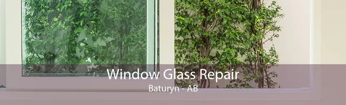 Window Glass Repair Baturyn - AB