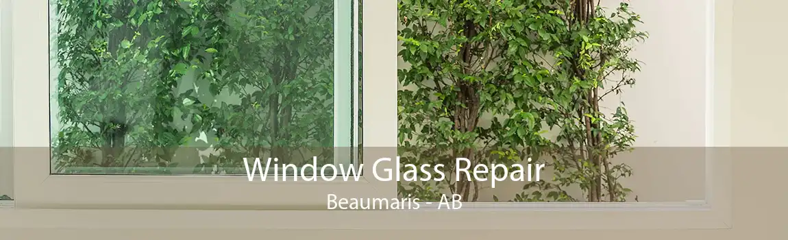 Window Glass Repair Beaumaris - AB