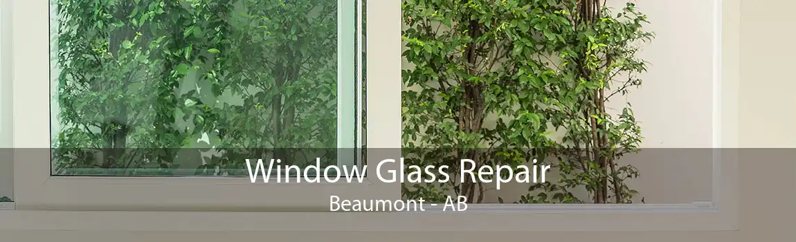 Window Glass Repair Beaumont - AB