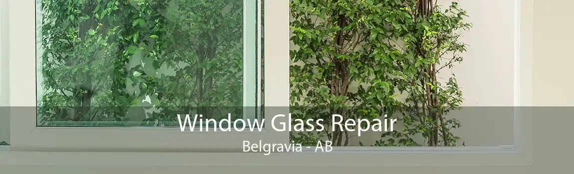 Window Glass Repair Belgravia - AB