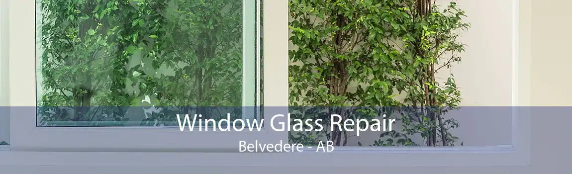 Window Glass Repair Belvedere - AB