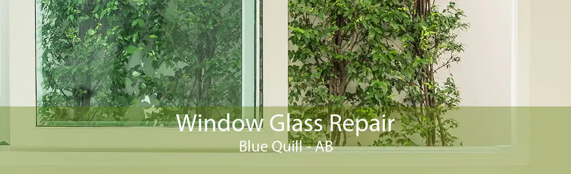 Window Glass Repair Blue Quill - AB