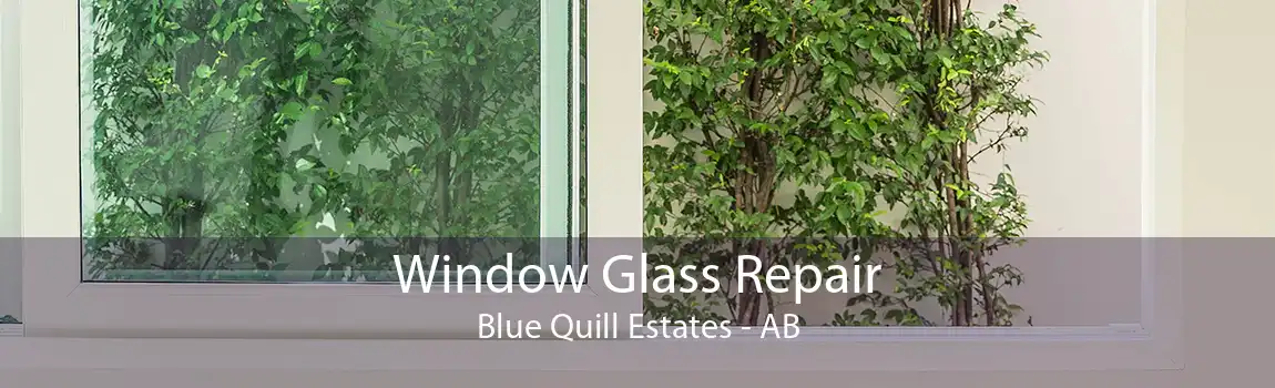 Window Glass Repair Blue Quill Estates - AB