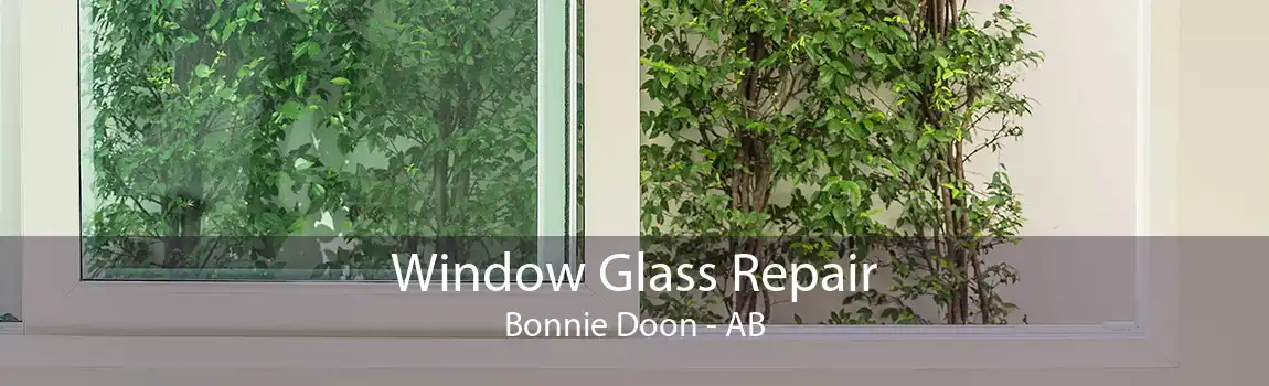 Window Glass Repair Bonnie Doon - AB