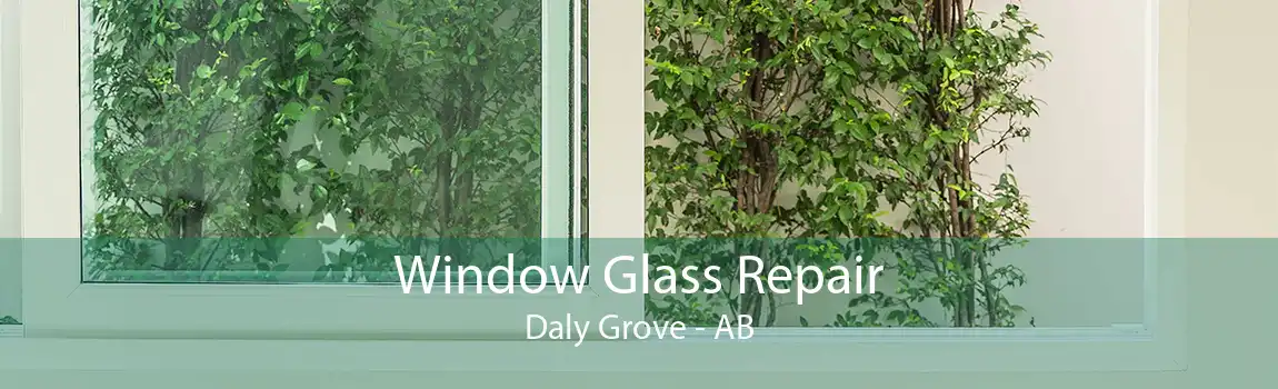 Window Glass Repair Daly Grove - AB