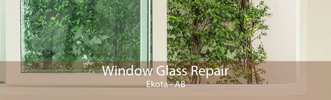 Window Glass Repair Ekota - AB