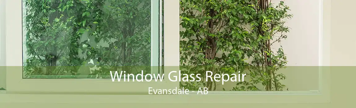 Window Glass Repair Evansdale - AB