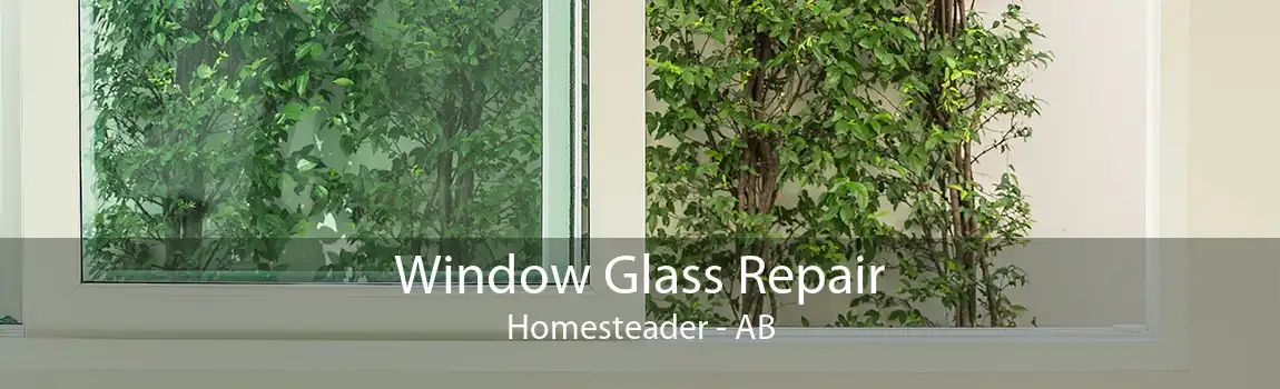 Window Glass Repair Homesteader - AB