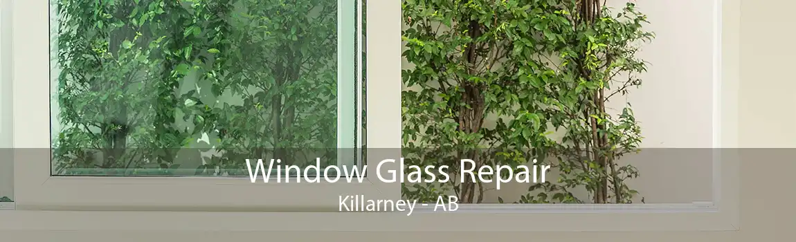 Window Glass Repair Killarney - AB