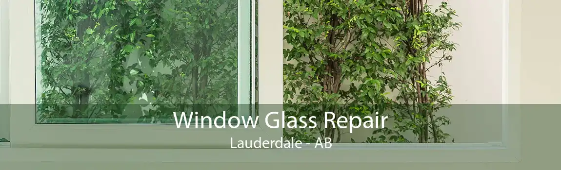 Window Glass Repair Lauderdale - AB