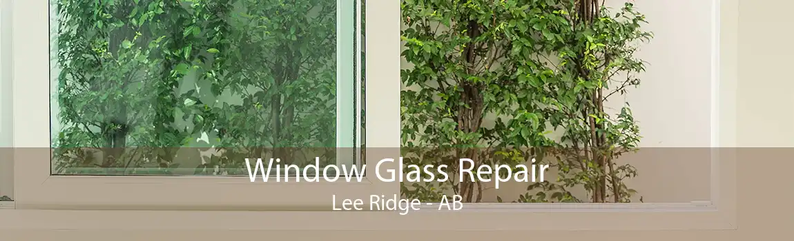 Window Glass Repair Lee Ridge - AB