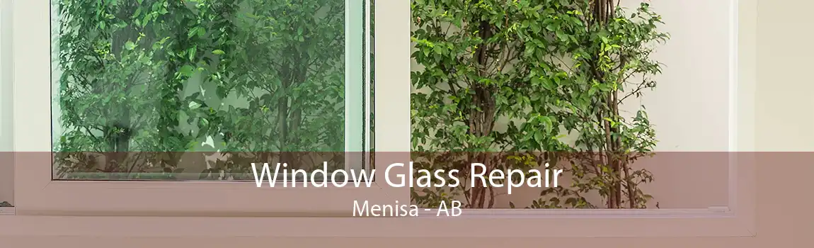 Window Glass Repair Menisa - AB