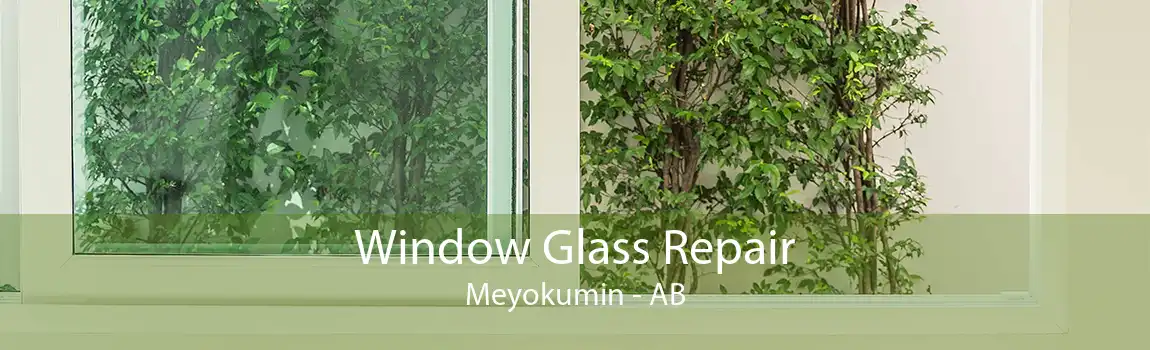 Window Glass Repair Meyokumin - AB