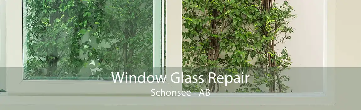 Window Glass Repair Schonsee - AB