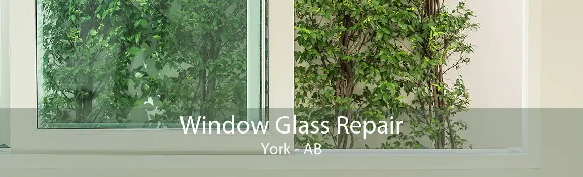 Window Glass Repair York - AB