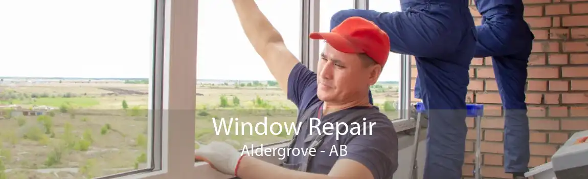 Window Repair Aldergrove - AB