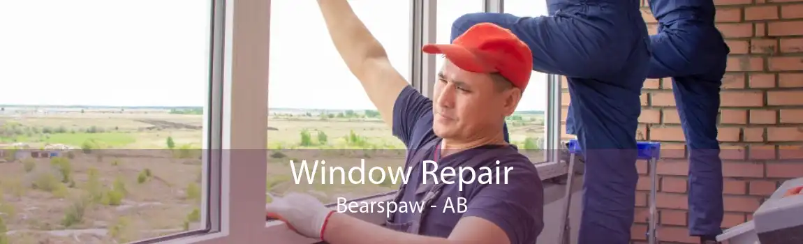 Window Repair Bearspaw - AB