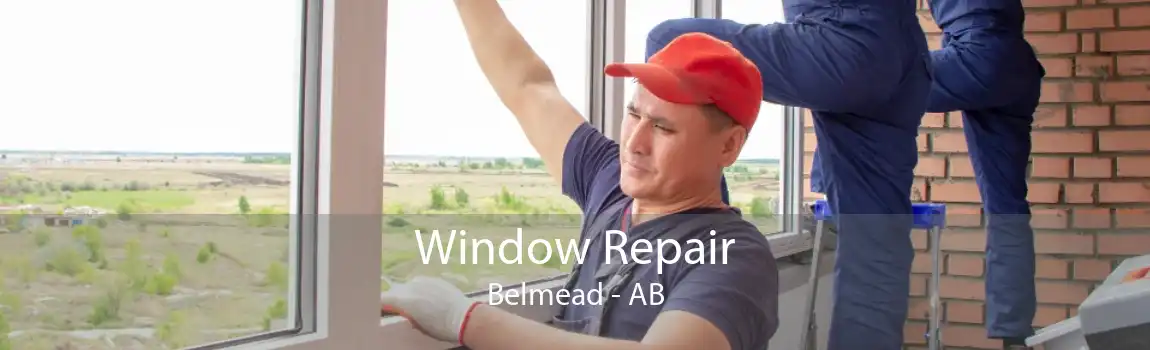 Window Repair Belmead - AB