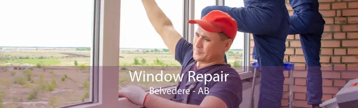 Window Repair Belvedere - AB