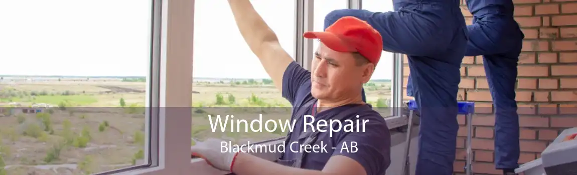 Window Repair Blackmud Creek - AB