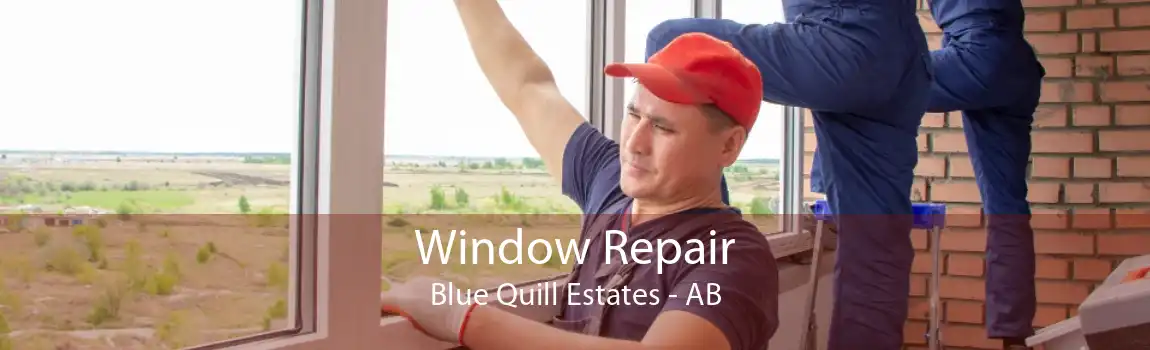 Window Repair Blue Quill Estates - AB